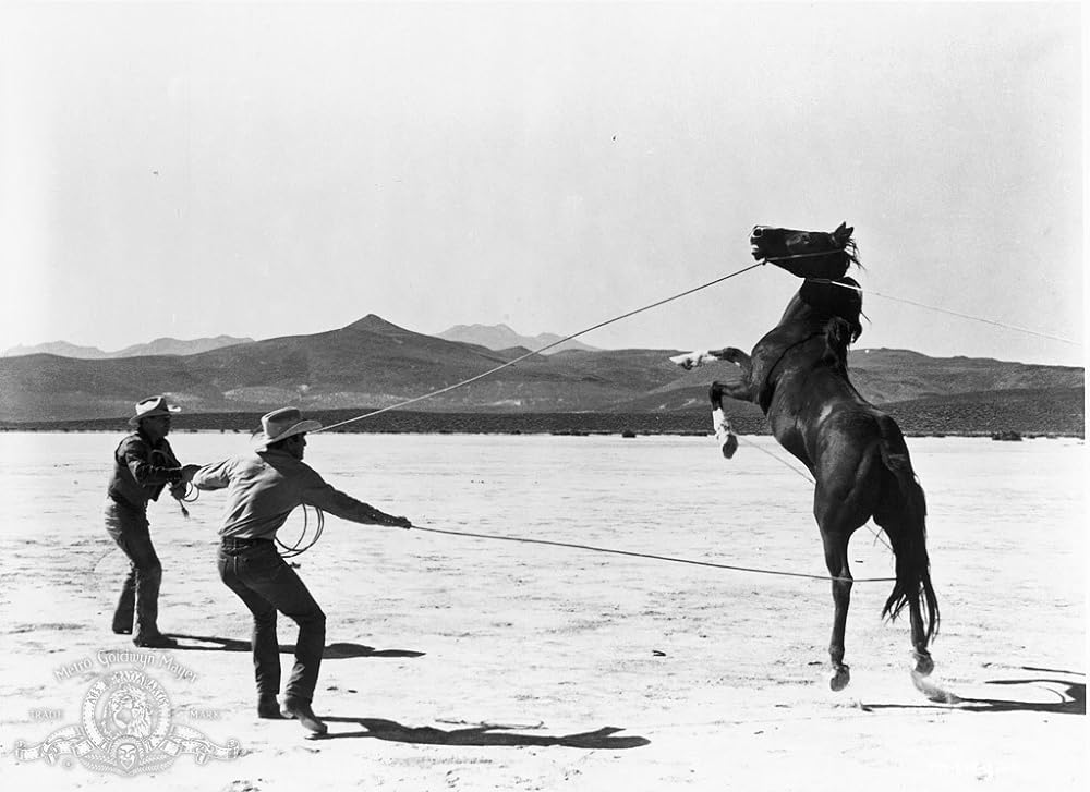 荒馬と女の画像