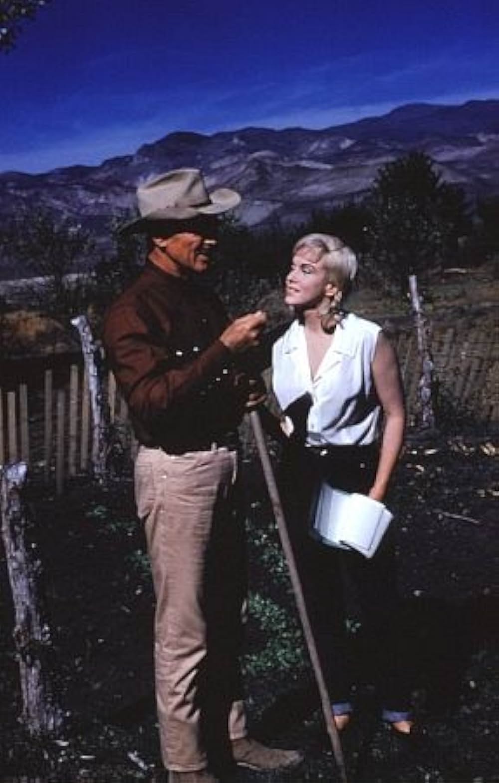 荒馬と女の画像