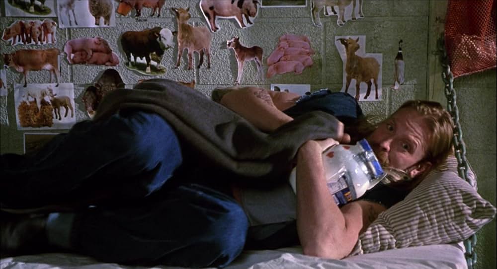 ニュー・ガイの写真