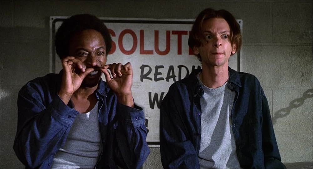 ニュー・ガイの画像