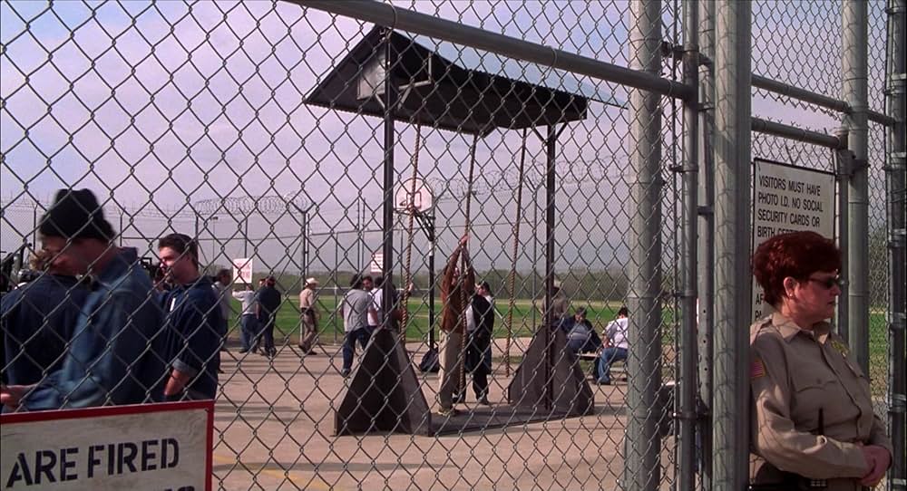 ニュー・ガイの画像