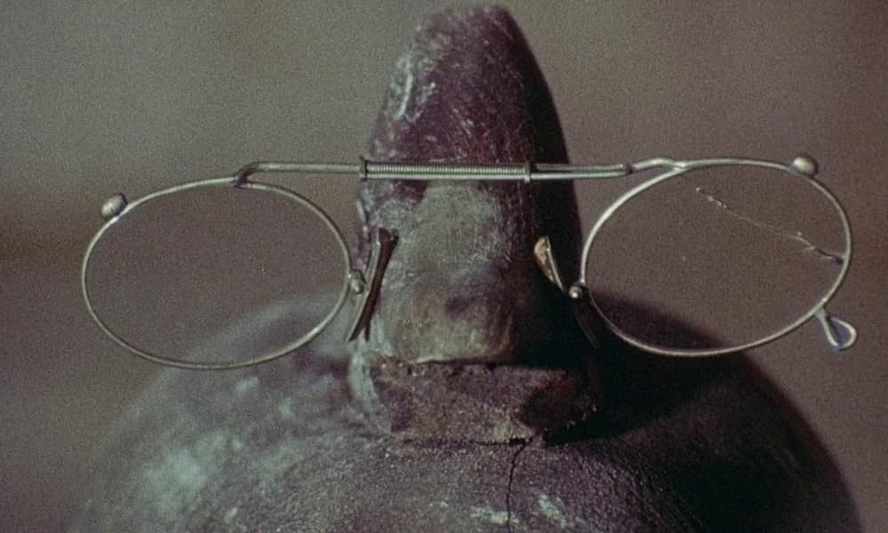 インモラル物語の画像