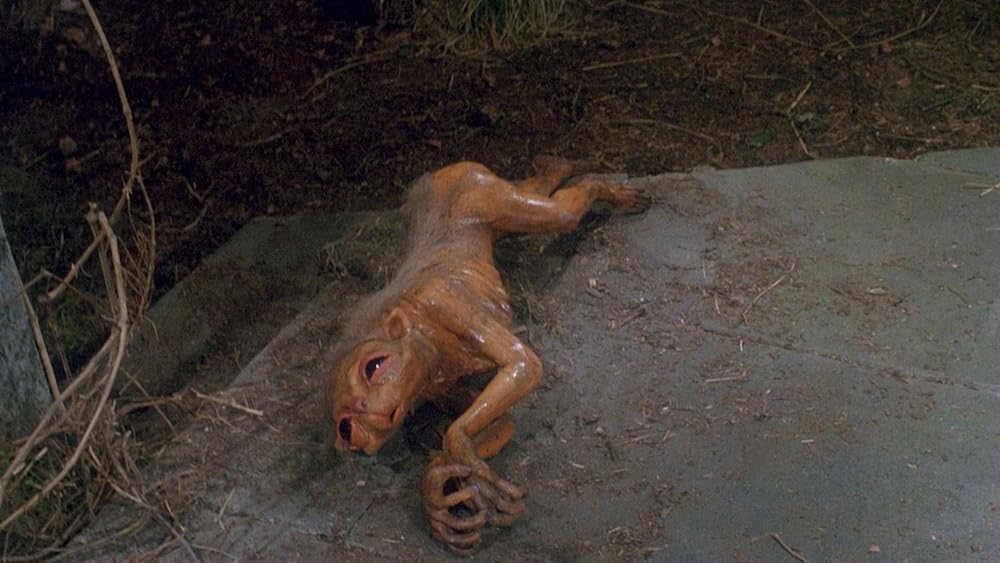 ミディアン ディレクターズ・カット版の画像