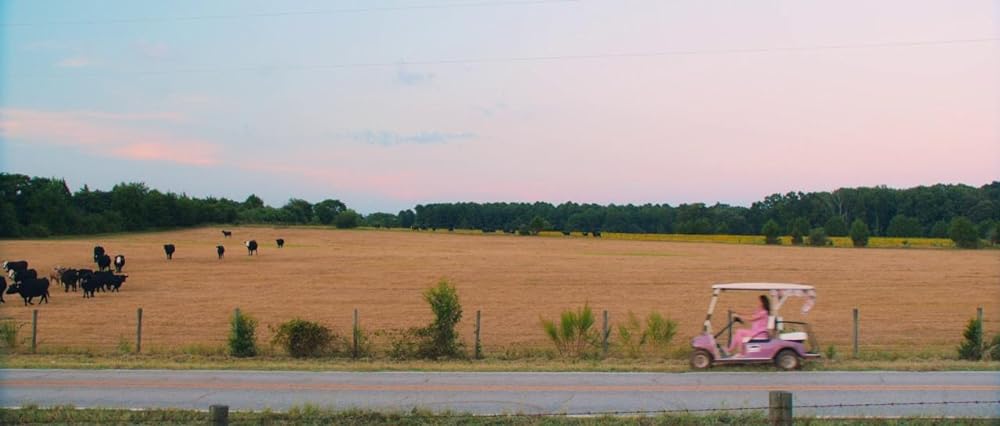 Greener Grass（原題）の画像