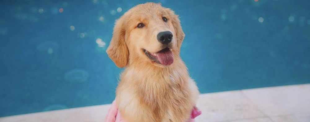 Greener Grass（原題）の画像