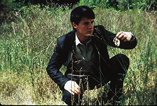 ブルーベルベットの画像