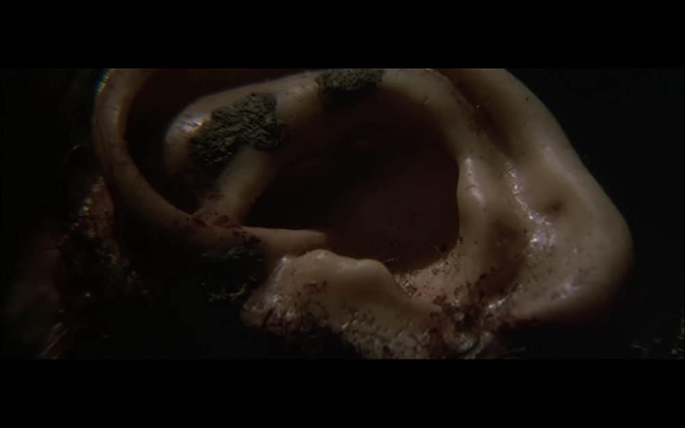 ブルーベルベットの画像