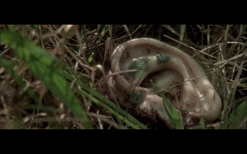 ブルーベルベットの画像