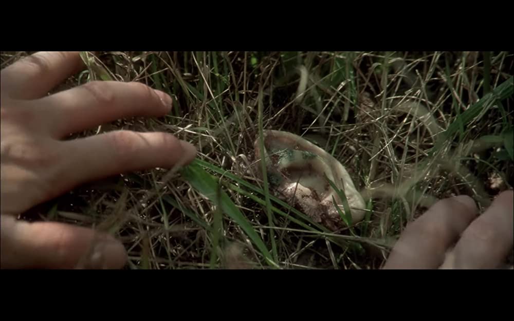 ブルーベルベットの画像