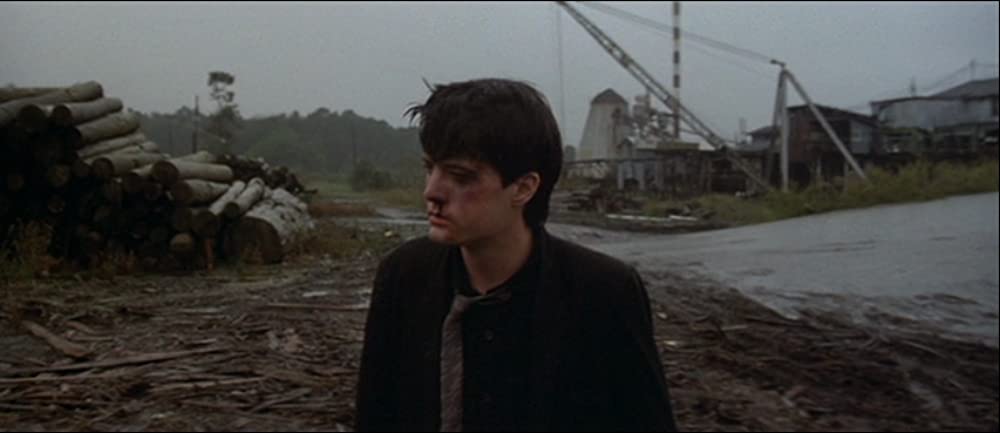 ブルーベルベットの画像