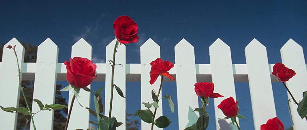 ブルーベルベットの画像