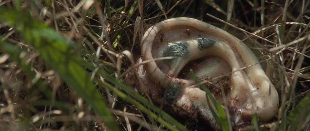 ブルーベルベットの画像