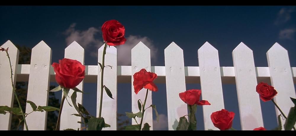 ブルーベルベットの画像