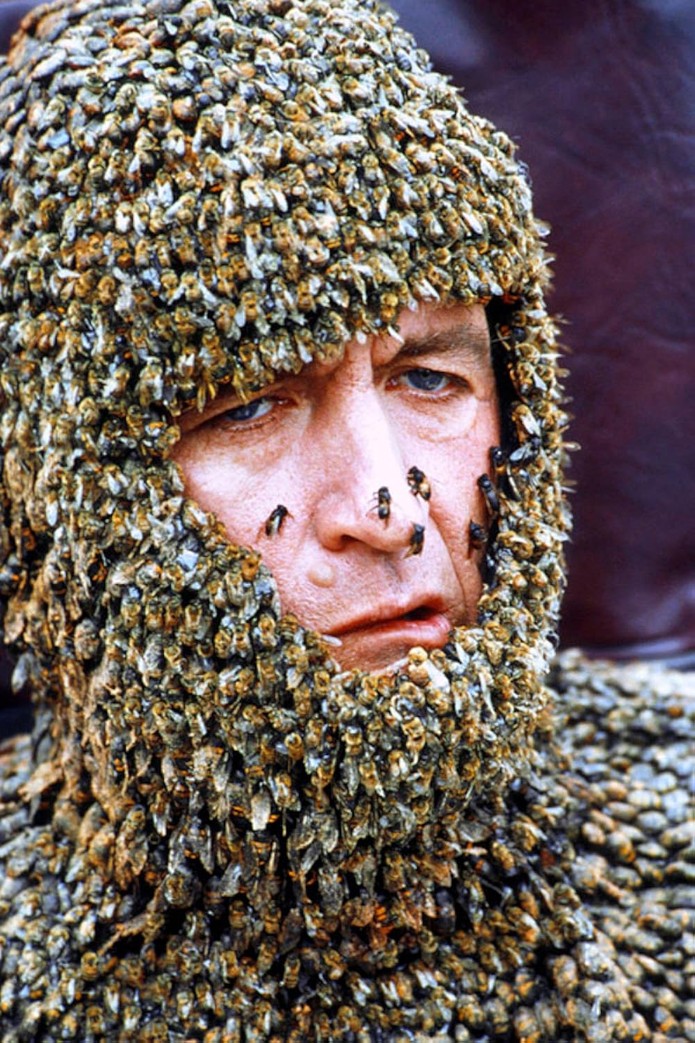 ギリーは首ったけの画像