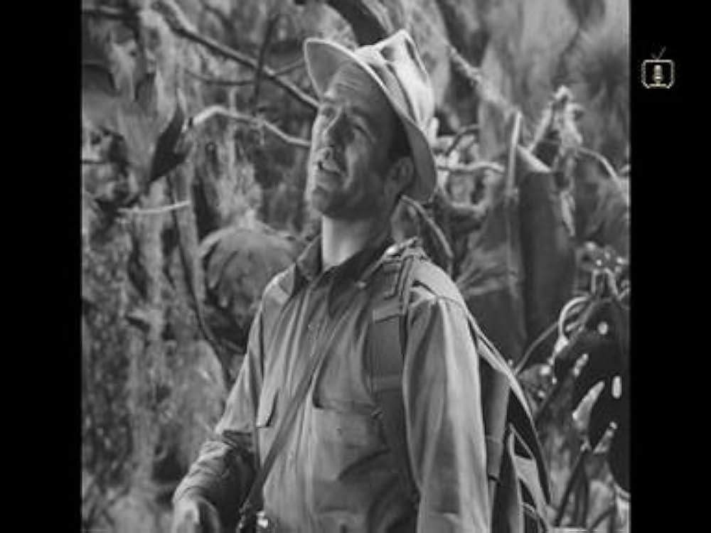 燃える大陸の画像