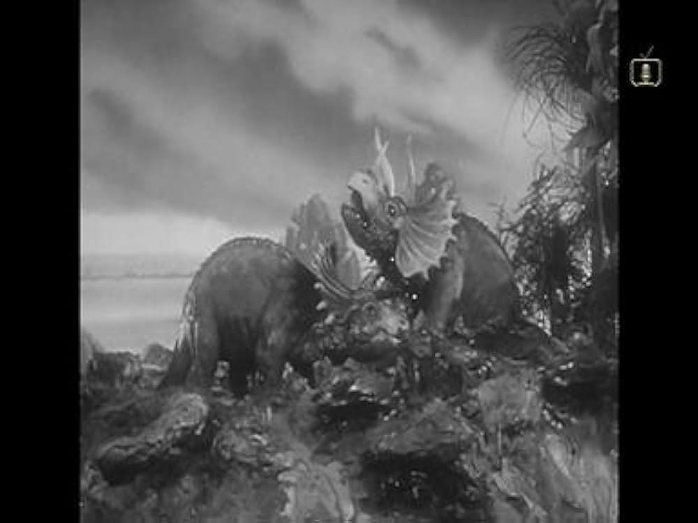 燃える大陸の画像