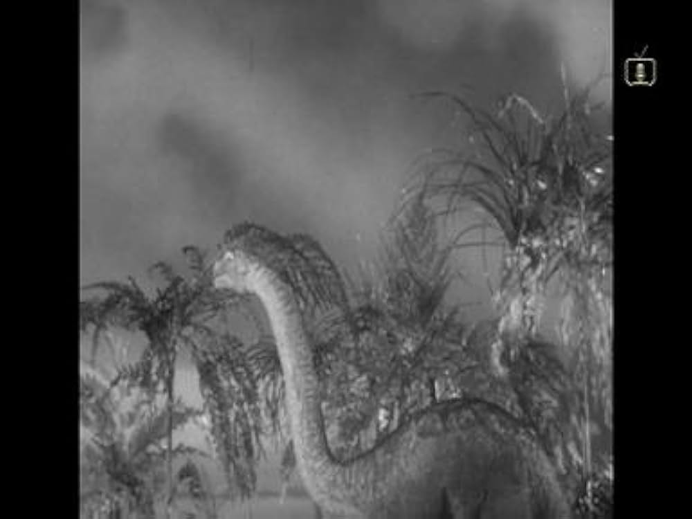 燃える大陸の画像