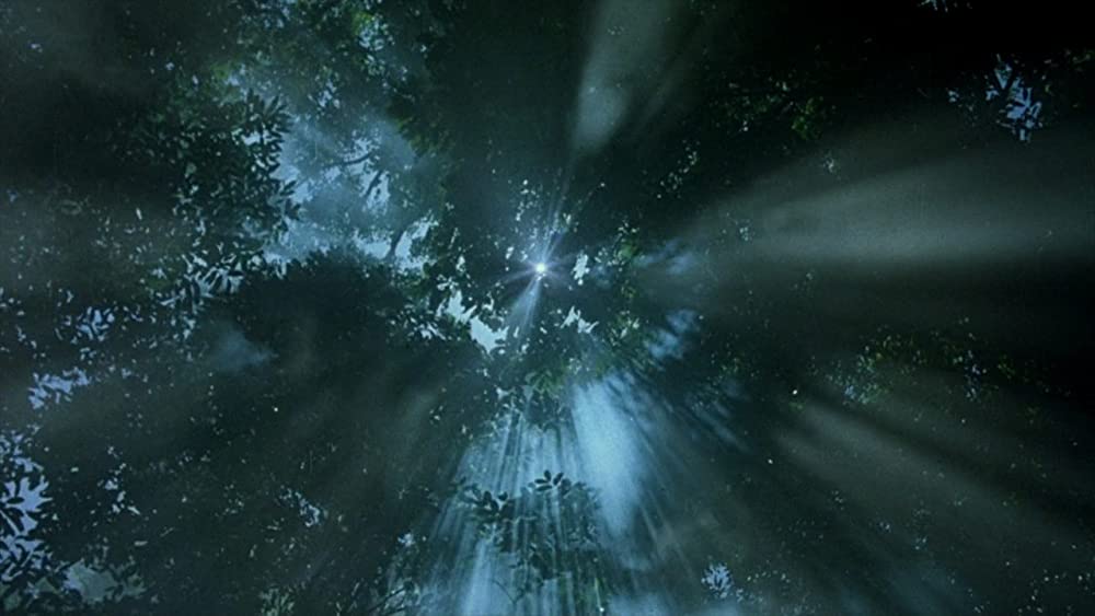 プラトーンの画像