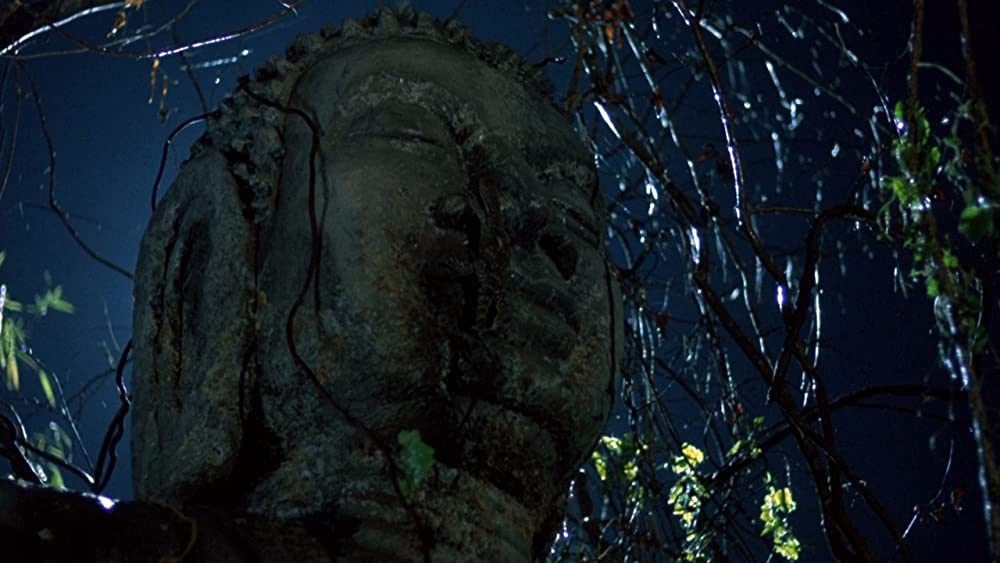 プラトーンの画像