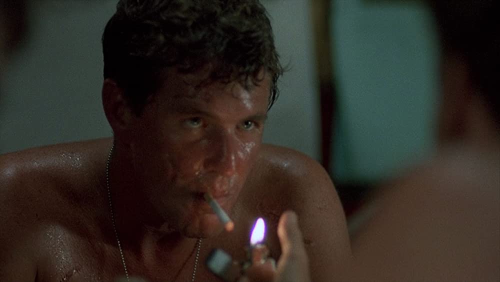 プラトーンの画像