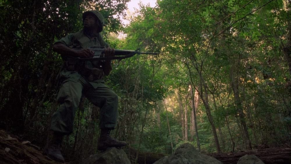 プラトーンの画像