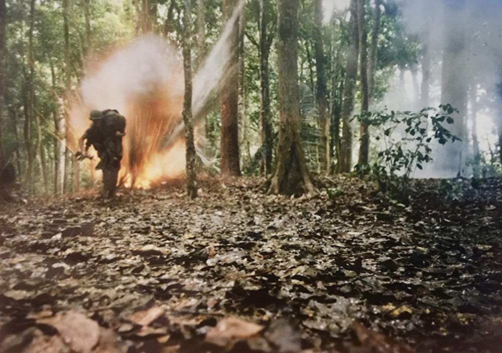 プラトーンの画像