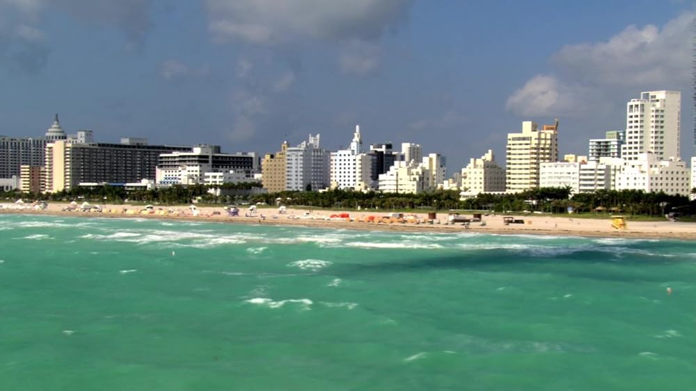 YOGAN -ヨウガン-／マイアミ・マグマの画像