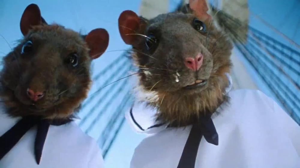 ストロベリー・マンションの画像