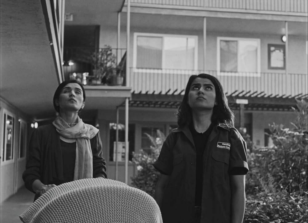 フォーチュンクッキーの画像