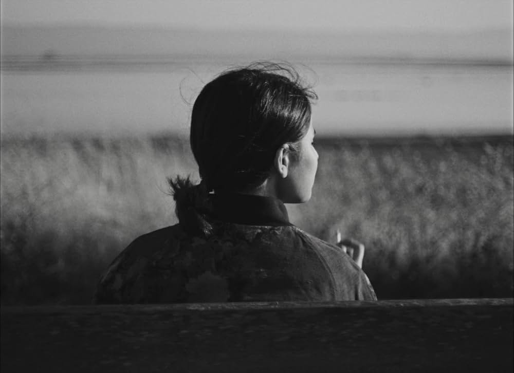 フォーチュンクッキーの画像