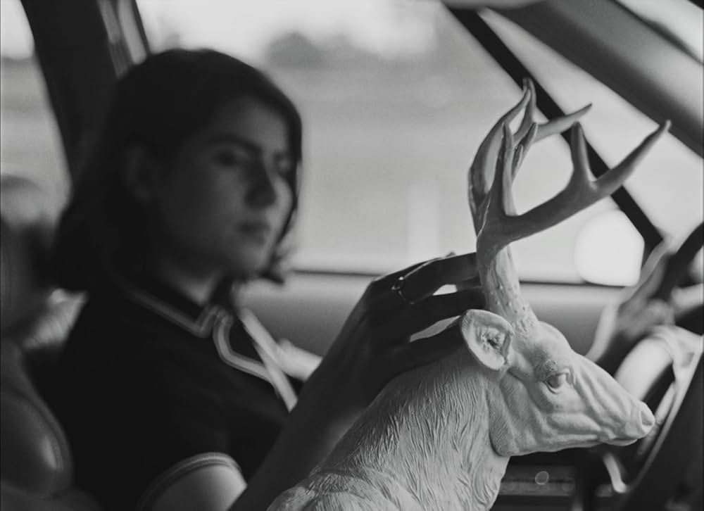 フォーチュンクッキーの画像