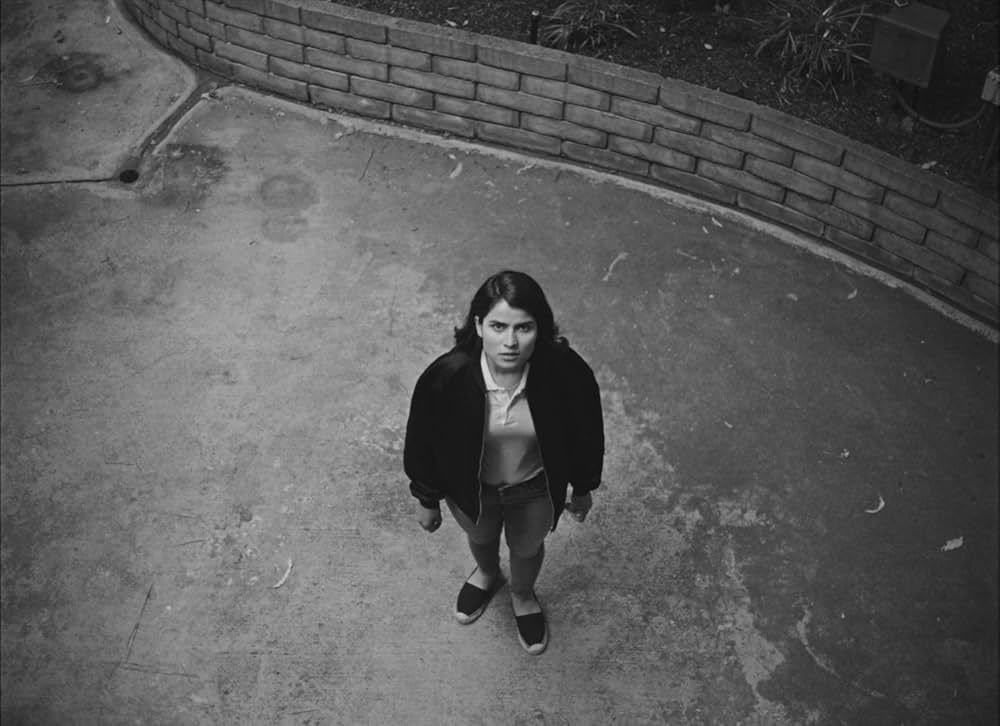 フォーチュンクッキーの画像