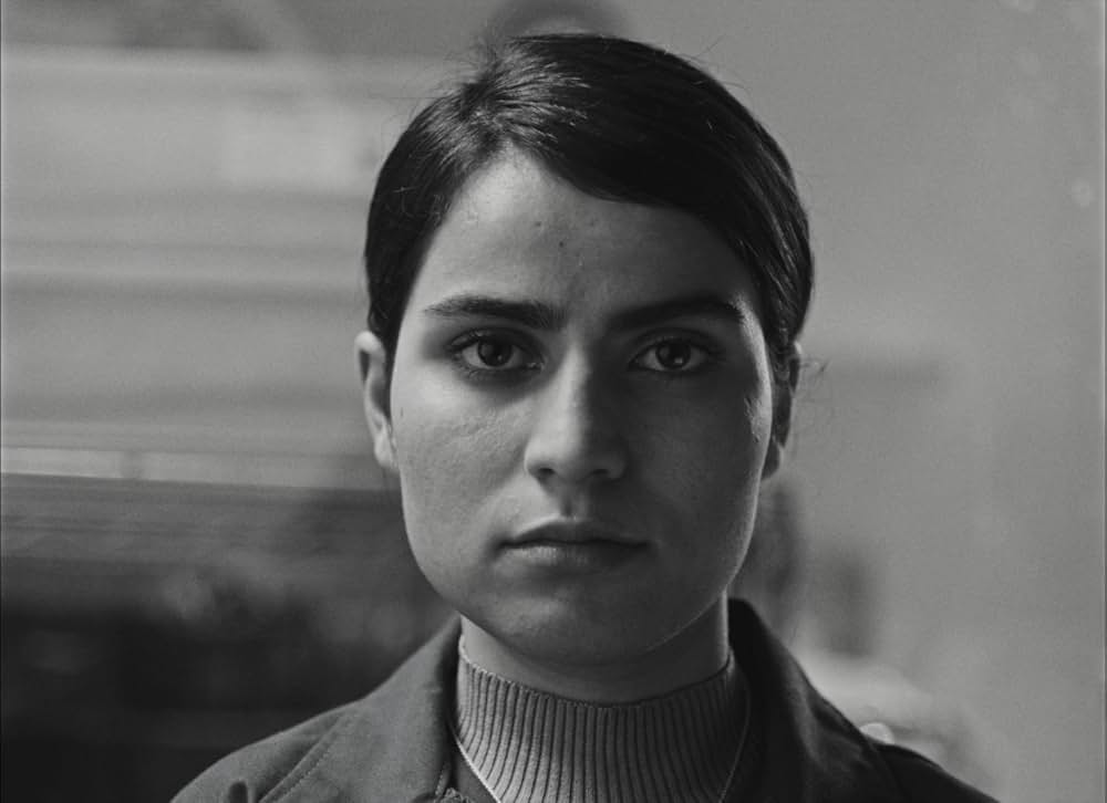 フォーチュンクッキーの画像