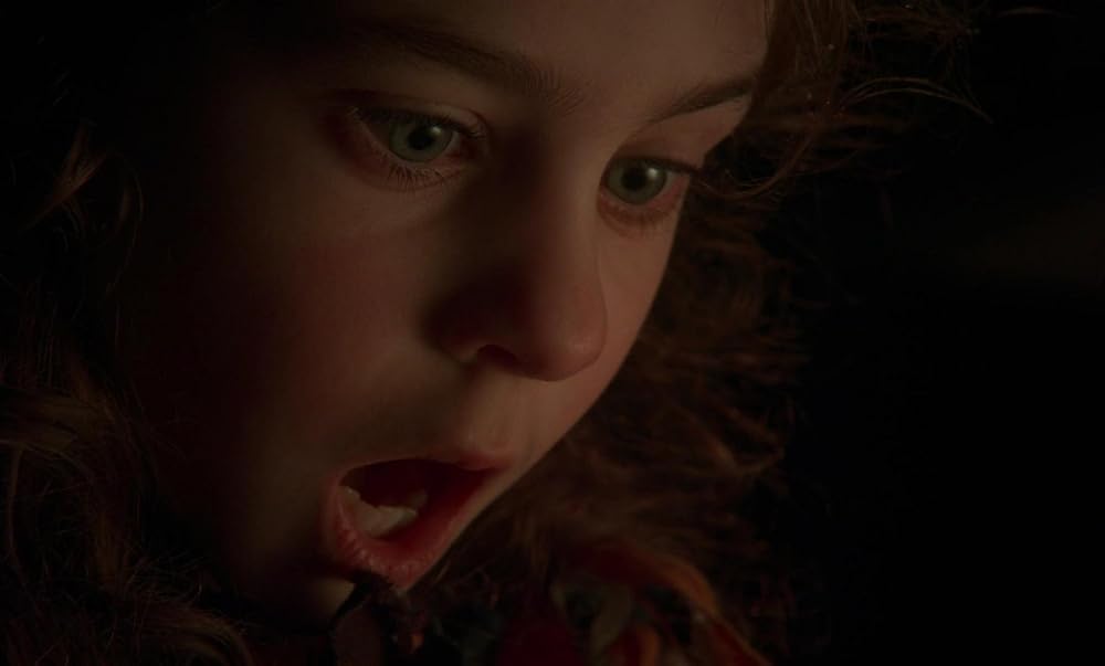 NOCEBO／ノセボの画像