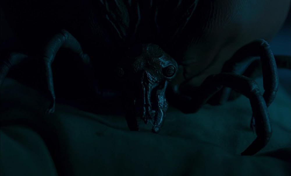 NOCEBO／ノセボの画像