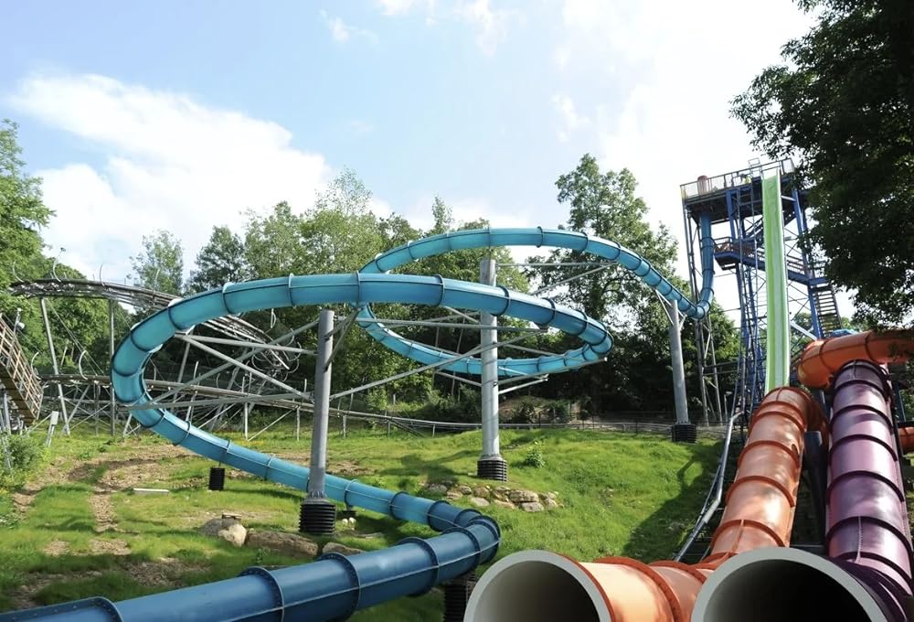 Class Action Park（原題）の画像