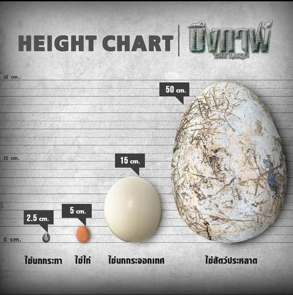 ザ・レイクの画像