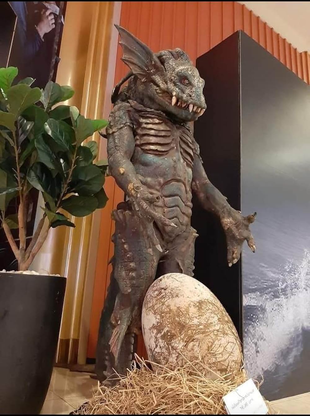 ザ・レイクの画像