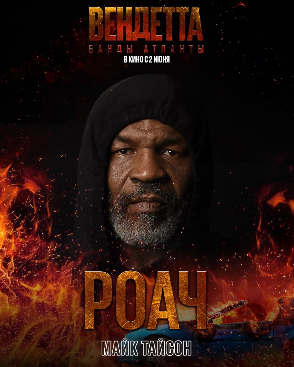 ヴェンデッタの画像