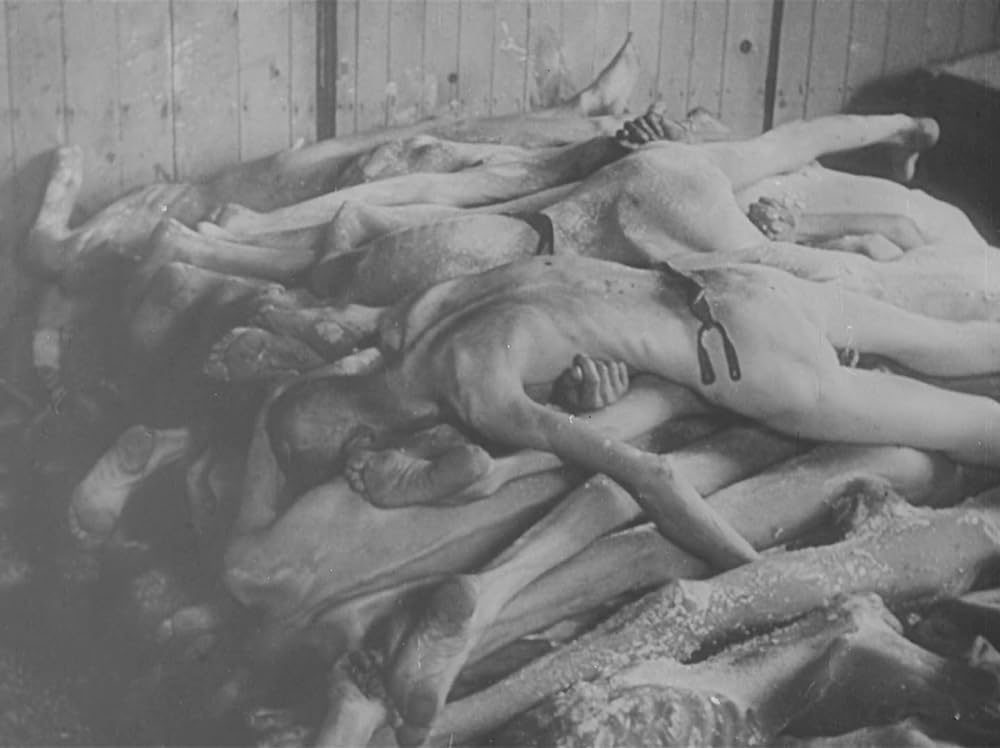 ナチスの強制収容所／ナチス絶滅収容所の画像