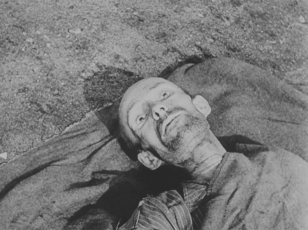 ナチスの強制収容所／ナチス絶滅収容所の画像