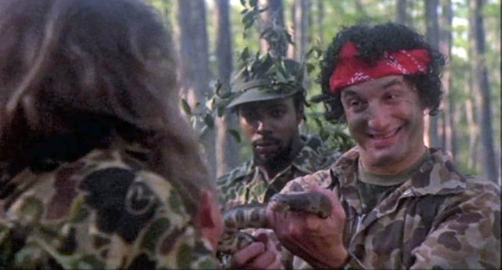 怪人スワンプ・シング／影のヒーローの画像