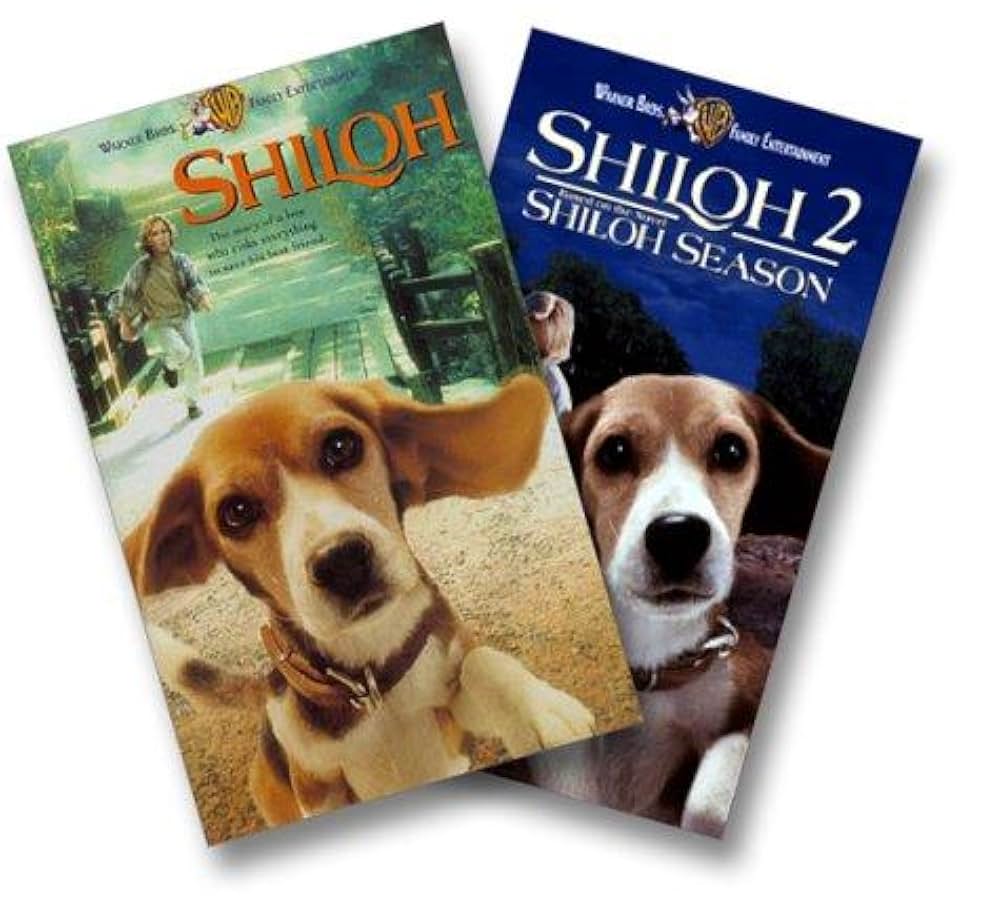 ビーグル犬 シャイロ2の画像