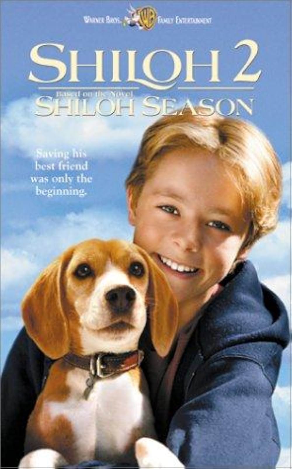 ビーグル犬 シャイロ2の画像