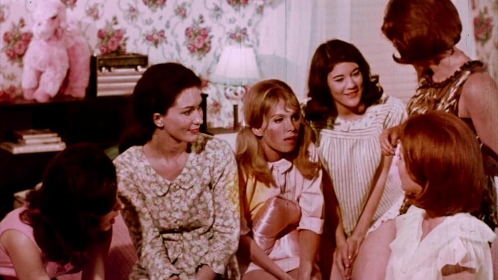 悪魔のかつら屋の画像