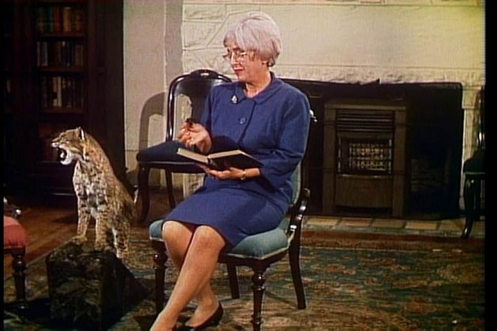 悪魔のかつら屋の画像