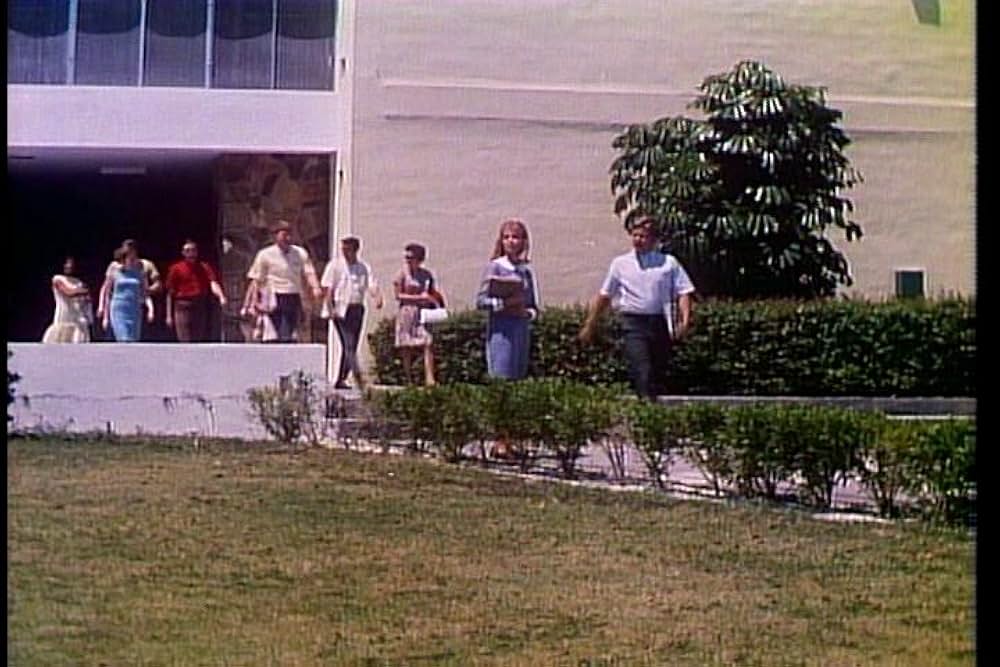 悪魔のかつら屋の画像