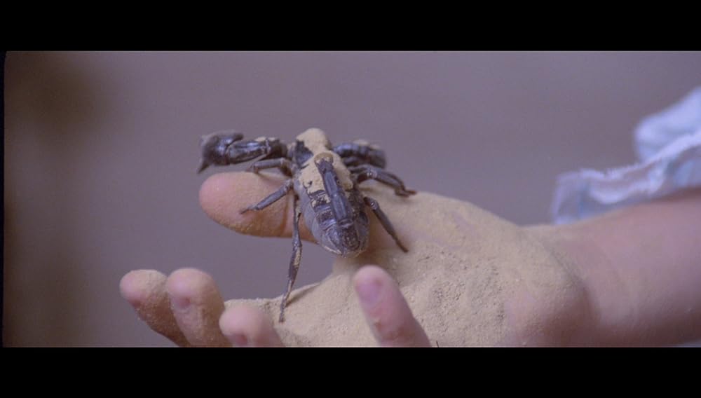 マンハッタン・ベイビーの画像