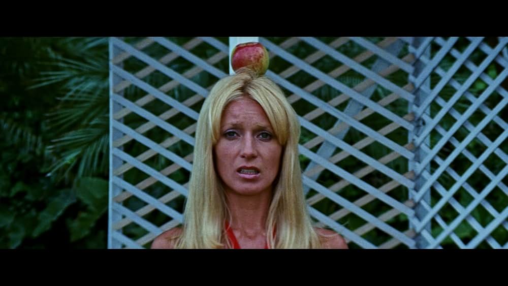 スカイ・ハイの画像