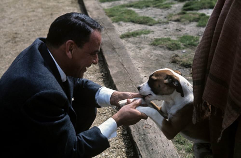 結婚専科の画像